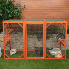 Frankie cat shop run playpen